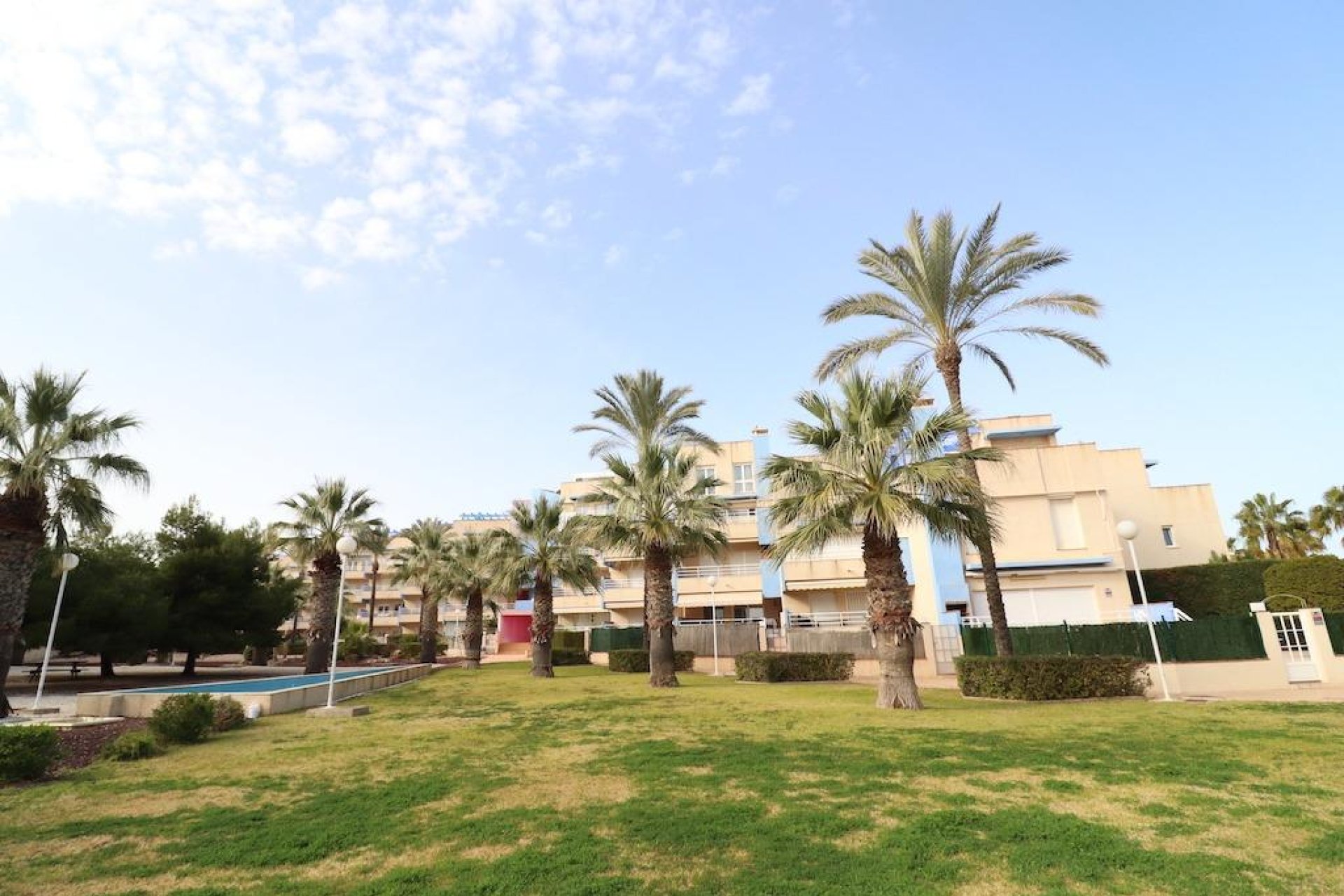 Alquiler a largo plazo - Apartamento - Orihuela Costa - Cabo Roig