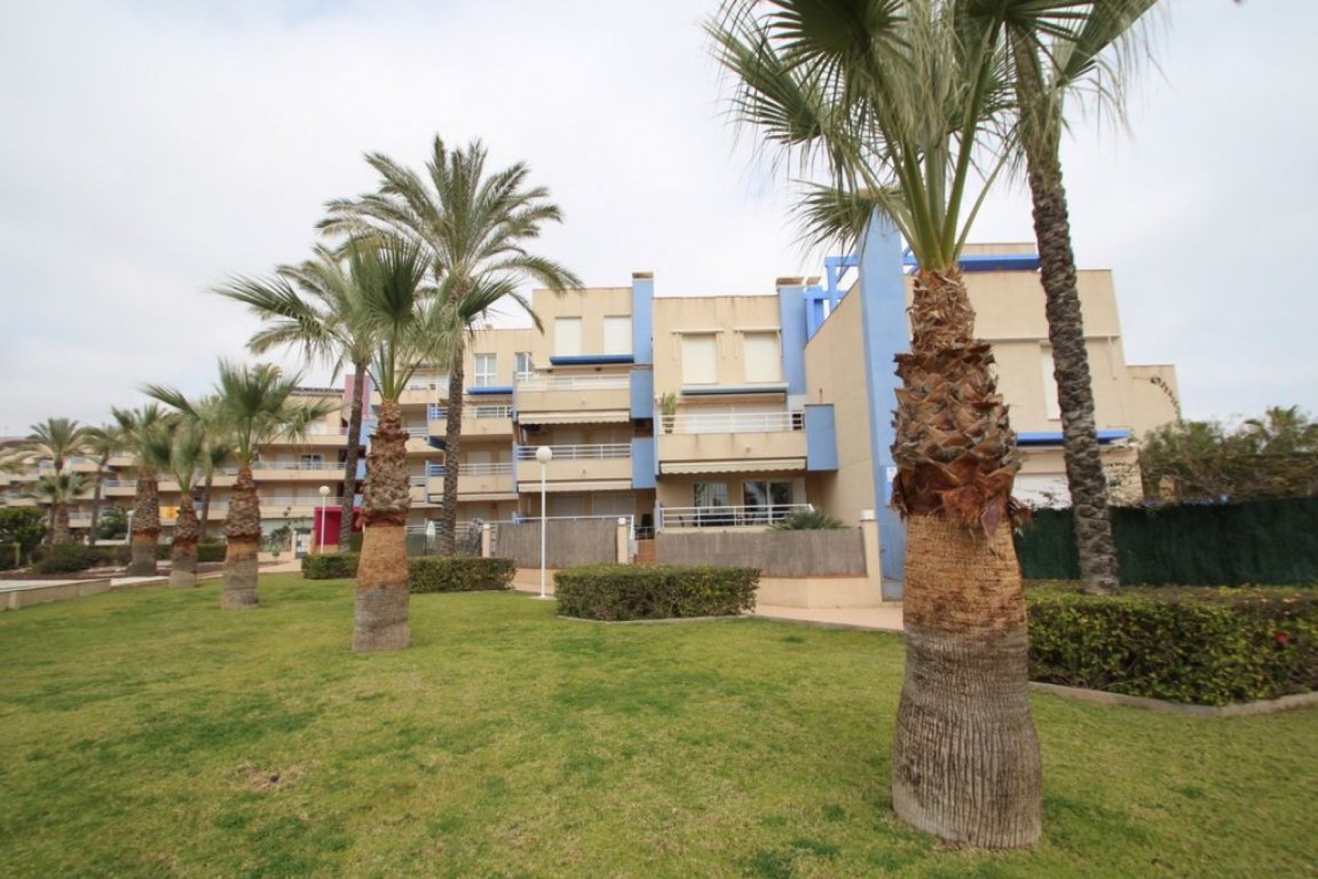 Alquiler a largo plazo - Apartamento - Orihuela Costa - Cabo Roig