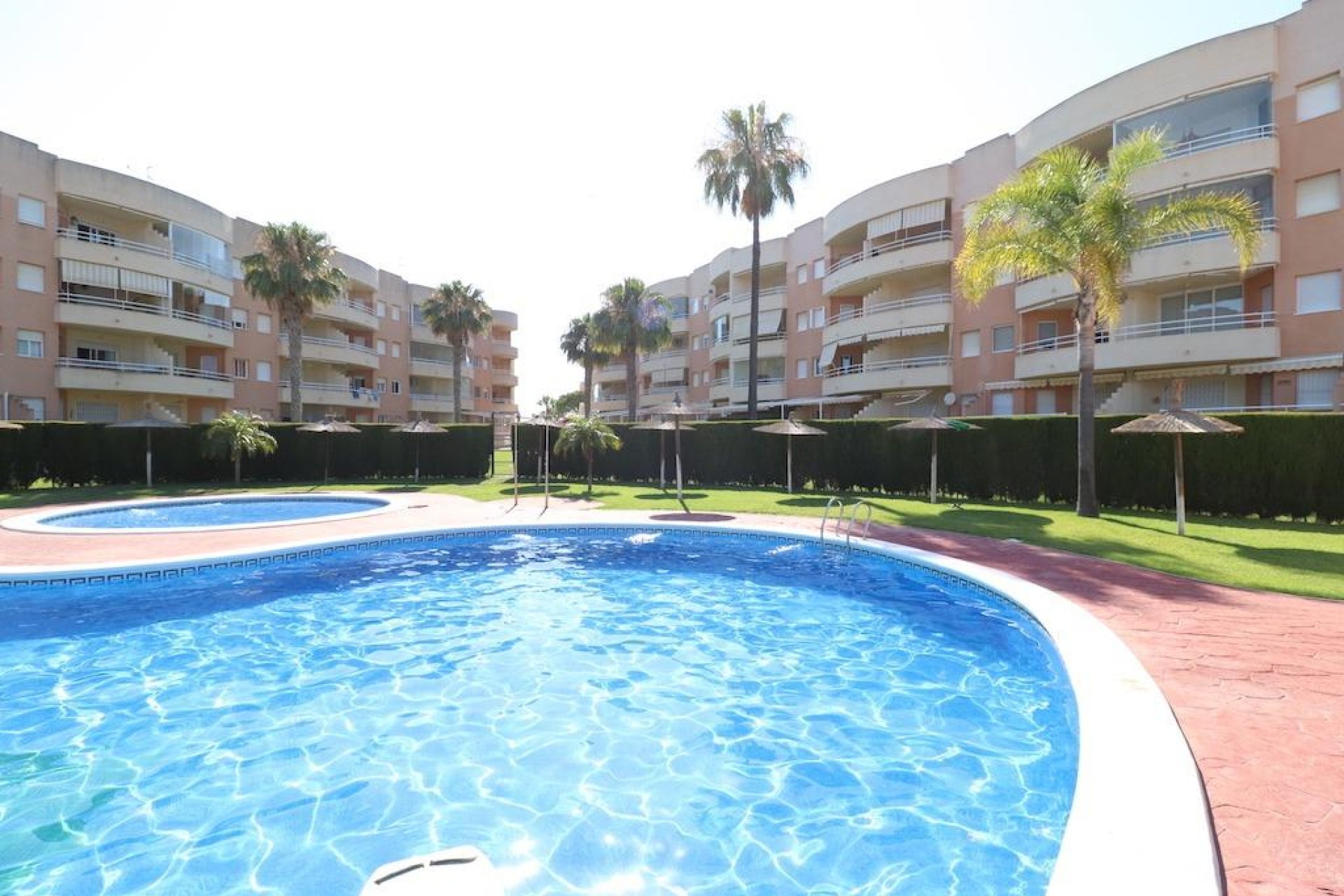 Alquiler a largo plazo - Apartamento - Orihuela Costa - Campoamor