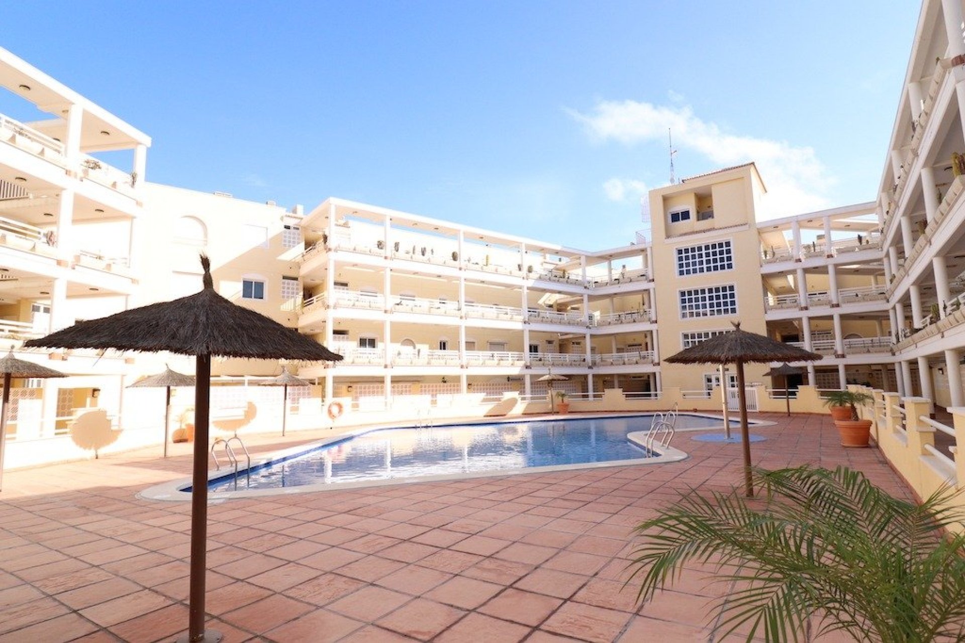 Alquiler a largo plazo - Apartamento - Orihuela Costa - Campoamor