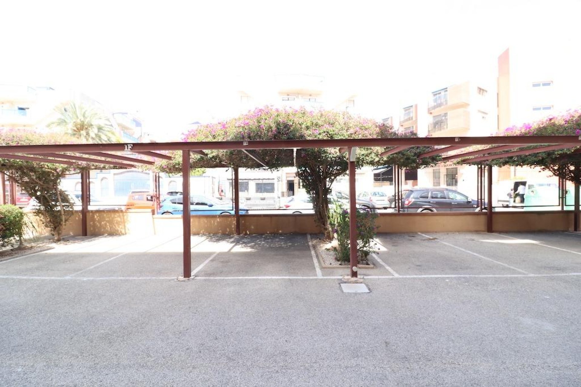 Alquiler a largo plazo - Apartamento - Orihuela Costa - La Regia