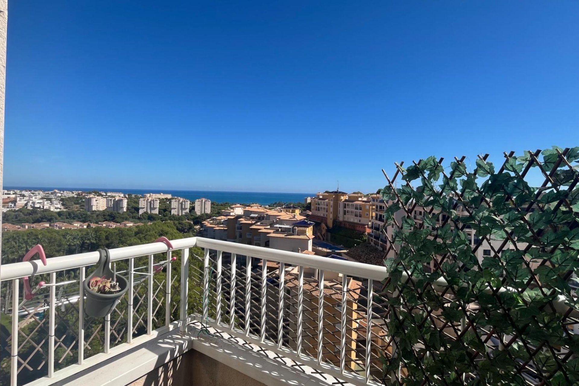 Alquiler - Apartamento  - Orihuela Costa - Altos de Campoamor