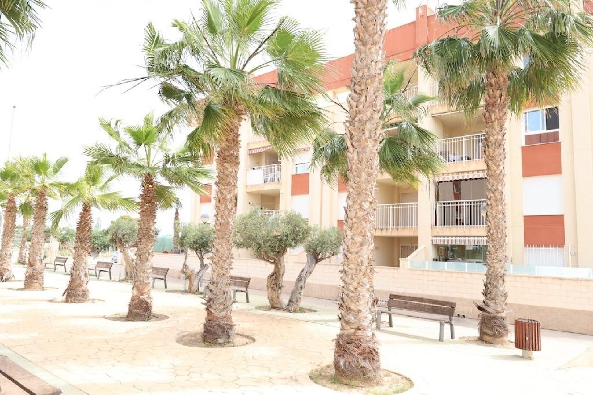 Alquiler - Apartamento  - Orihuela Costa - Lomas de Cabo Roig