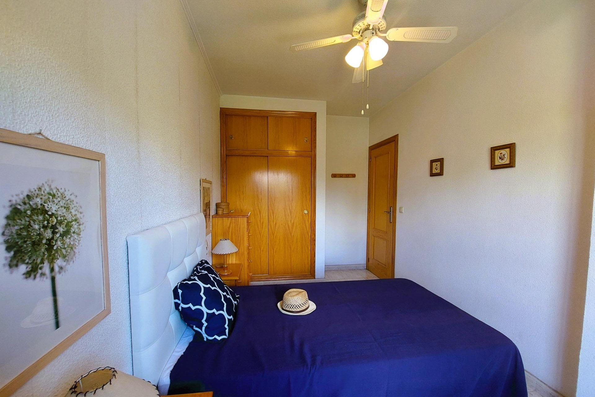 Alquiler - Apartamento  - Torrevieja - Acequion