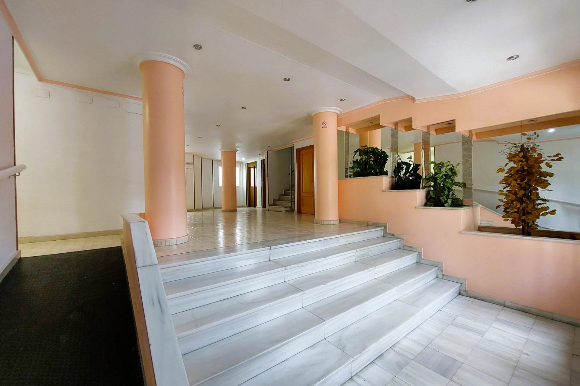 Alquiler - Apartamento  - Torrevieja - Acequion