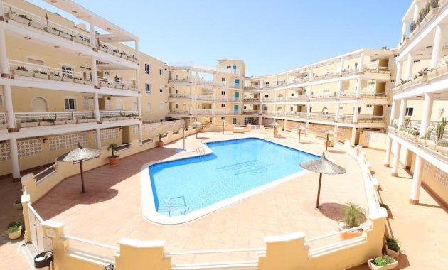 Apartamento  - Alquiler - Orihuela Costa - ALQ494