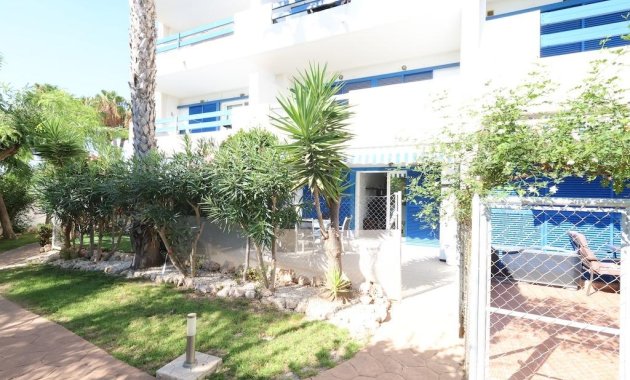 Apartamento  - Alquiler - Orihuela Costa - Playa Flamenca Norte