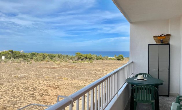 Apartamento  - Alquiler - Torrevieja - ALQ472