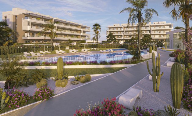 Apartamento  - Obra nueva - TORREVIEJA - TORREVIEJA