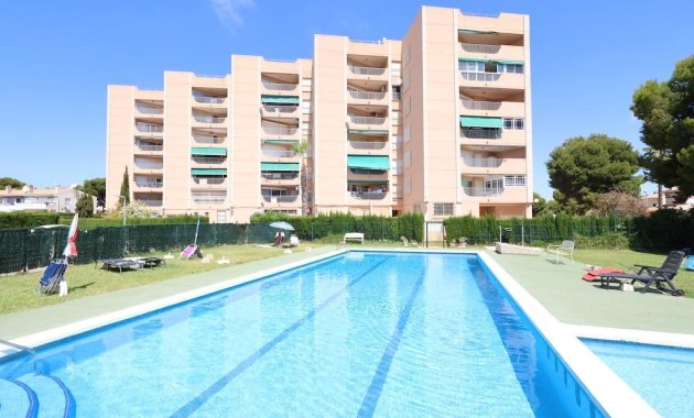 Apartamento  - Segunda Mano - Orihuela Costa - La Zenia
