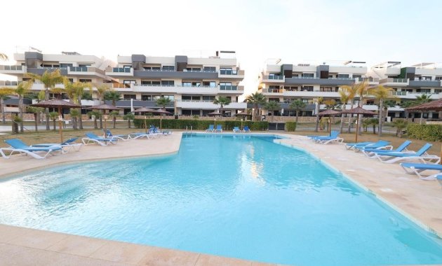 Apartamento  - Segunda Mano - Orihuela Costa - Punta Prima