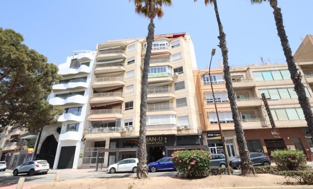 Apartamento - Segunda Mano - Torrevieja - torrevieja