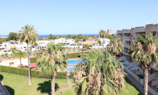 Appartement - Location - Orihuela Costa - Campoamor