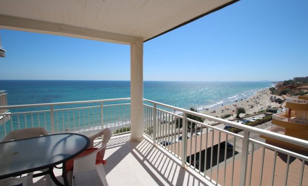 Appartement - Location - Orihuela Costa - Campoamor