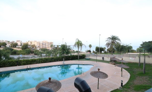 Appartement - Location - Pilar de la Horadada - Mil Palmeras