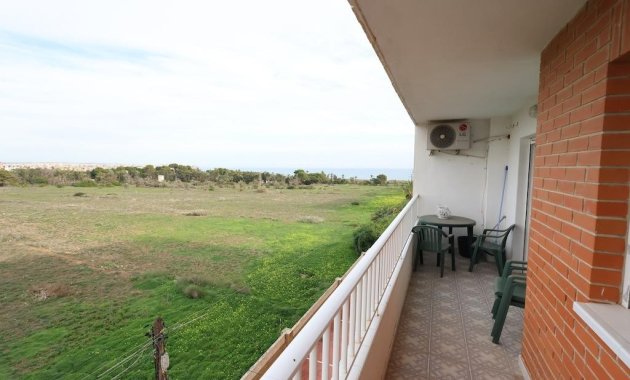 Appartement - Location - Torrevieja - Punta prima