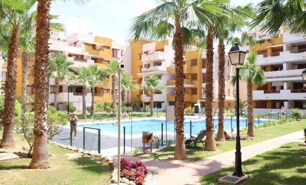 Appartement  - Verhuur - Torrevieja - ALQ490
