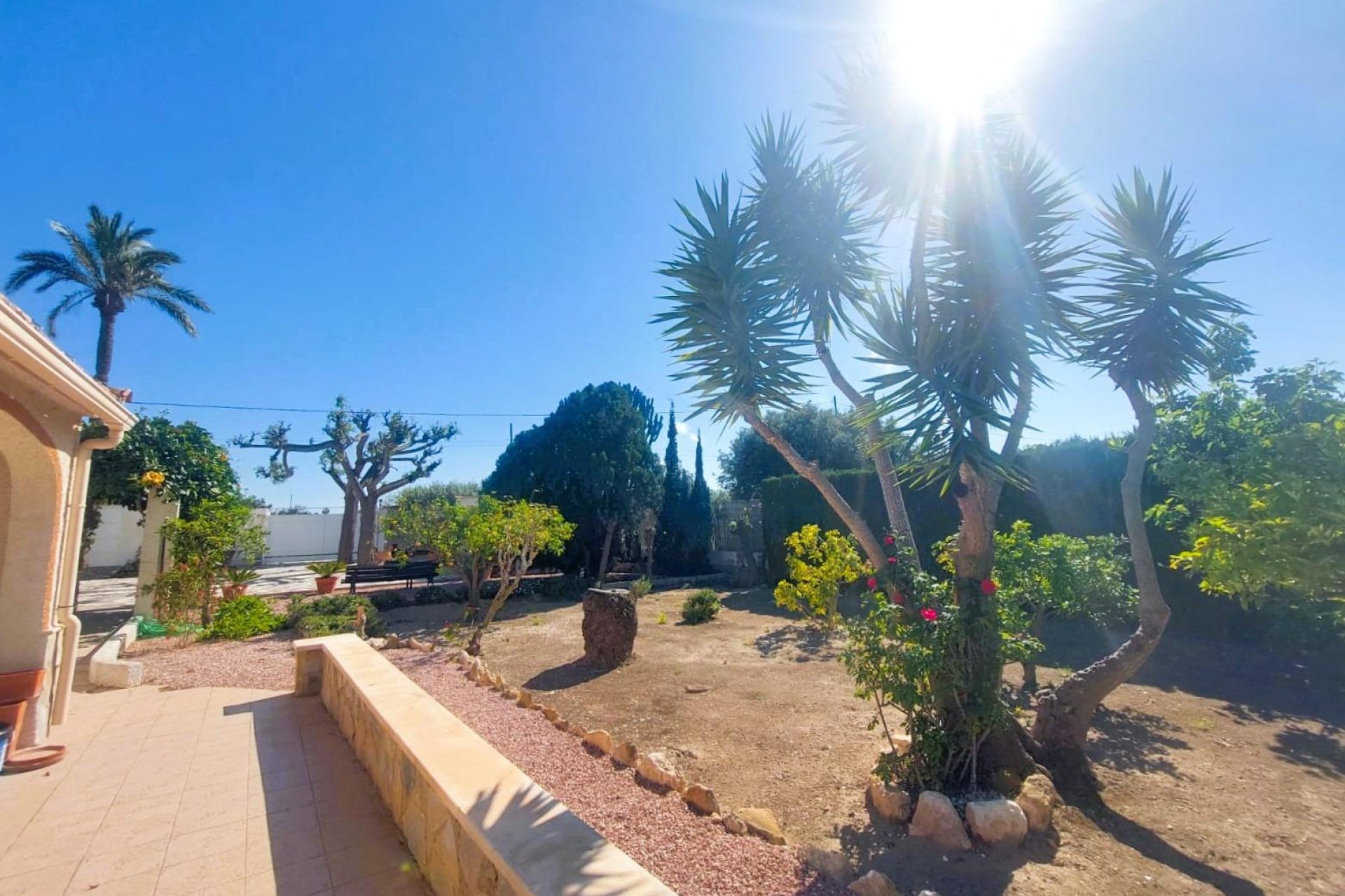 Bestaande woning  - Boerderijvilla - La marina - La Marina