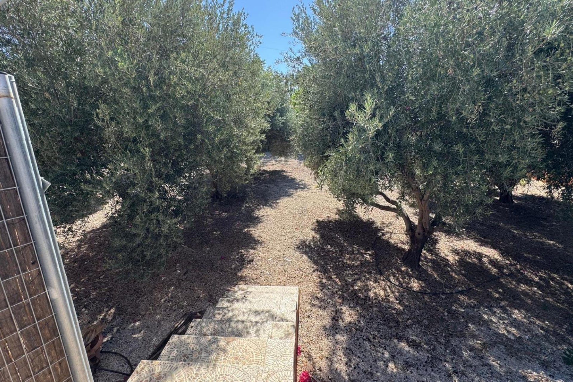 Bestaande woning  - Casa de campo - Albatera - BARRANCO SAN CAYETANO