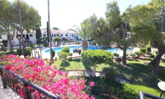 Bungalow - Rental - Cabo Roig - Cabo Roig