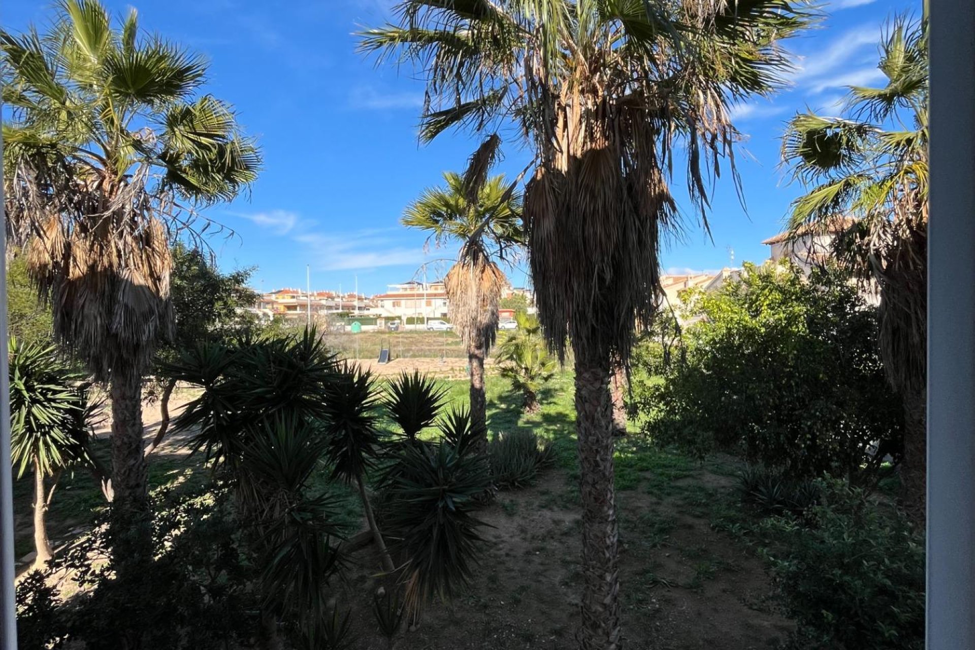 Location - Appartement - Orihuela Costa - Punta Prima
