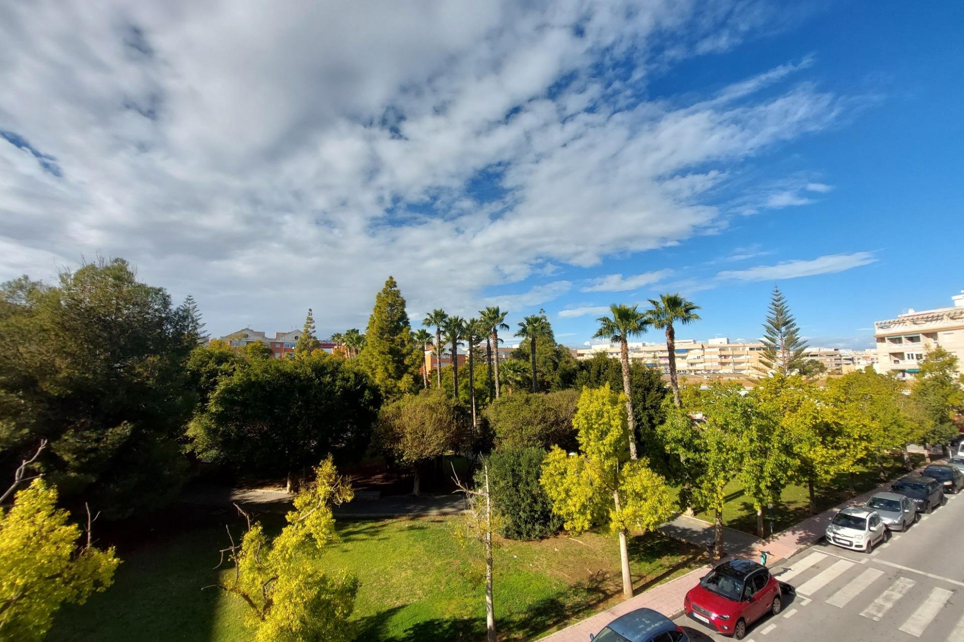 Location - Appartement - Torrevieja - Acequion