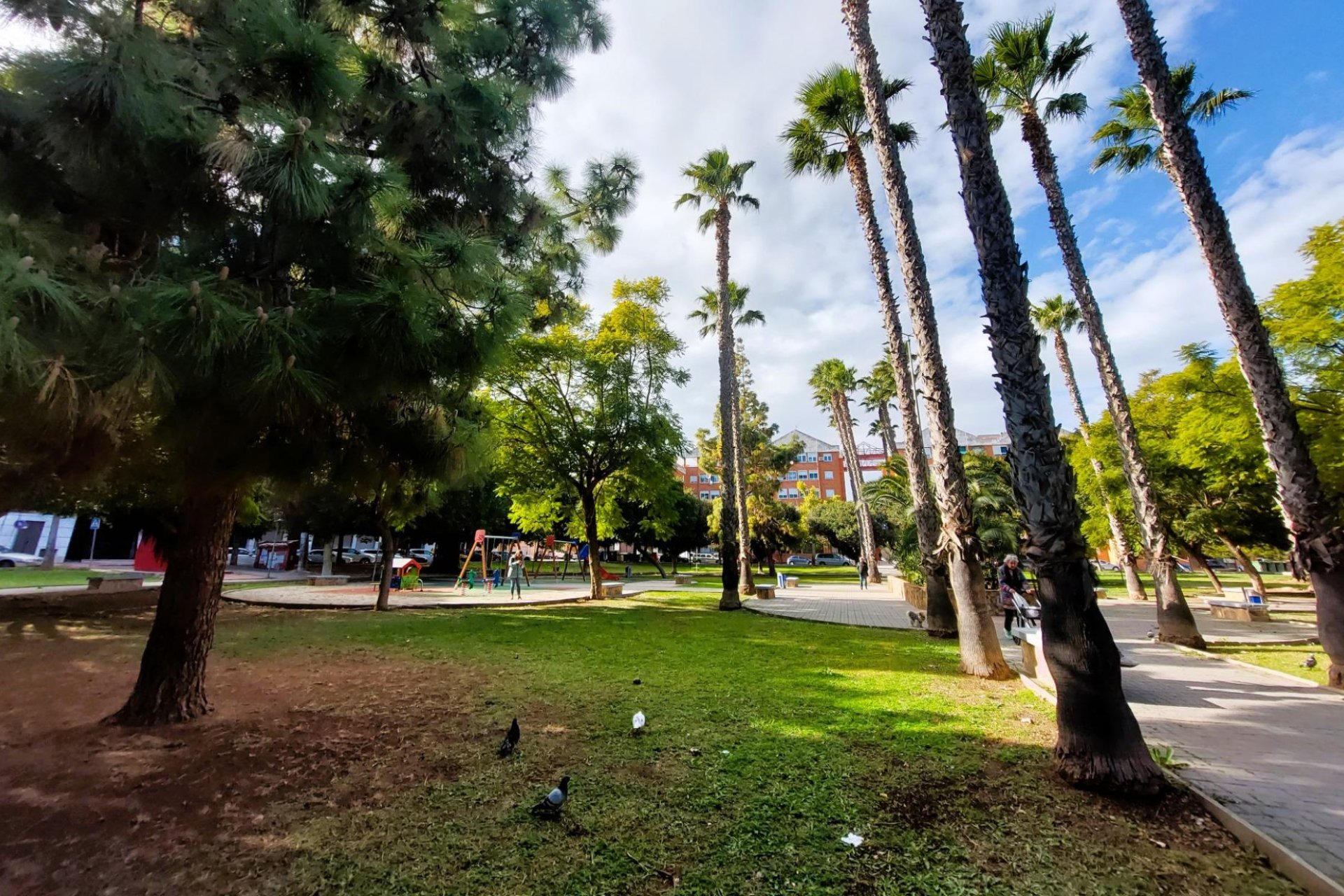 Location - Appartement - Torrevieja - Acequion