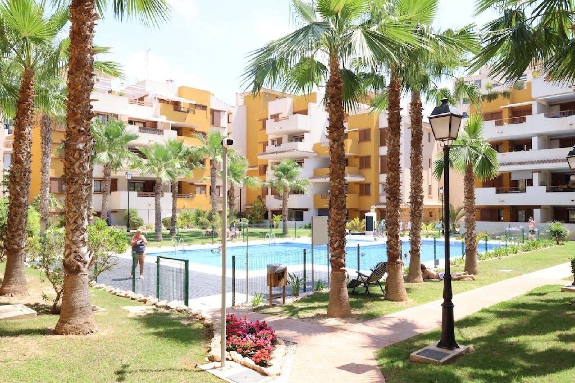 Location - Appartement - Torrevieja - Punta prima