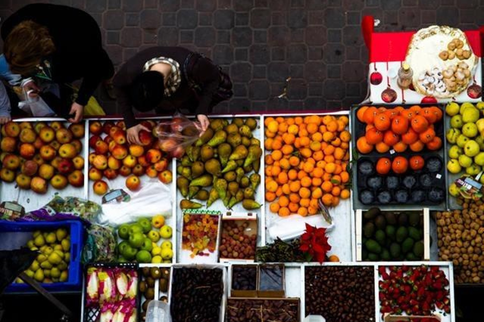 New Build - semi-detached house - Dolores - Sector 2