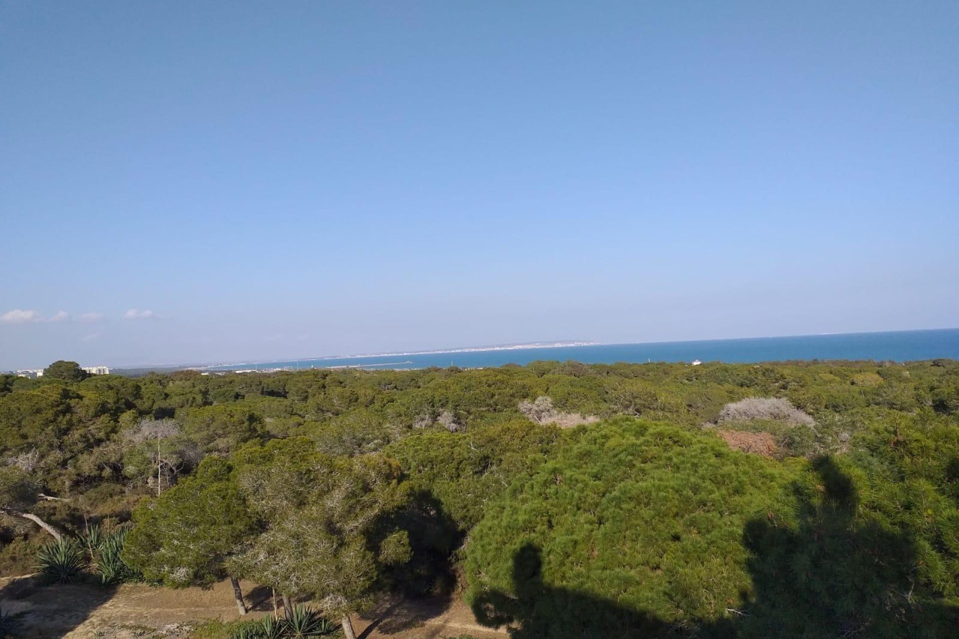 Nieuwbouw Woningen - Appartement  - Guardamar del Segura - Pueblo