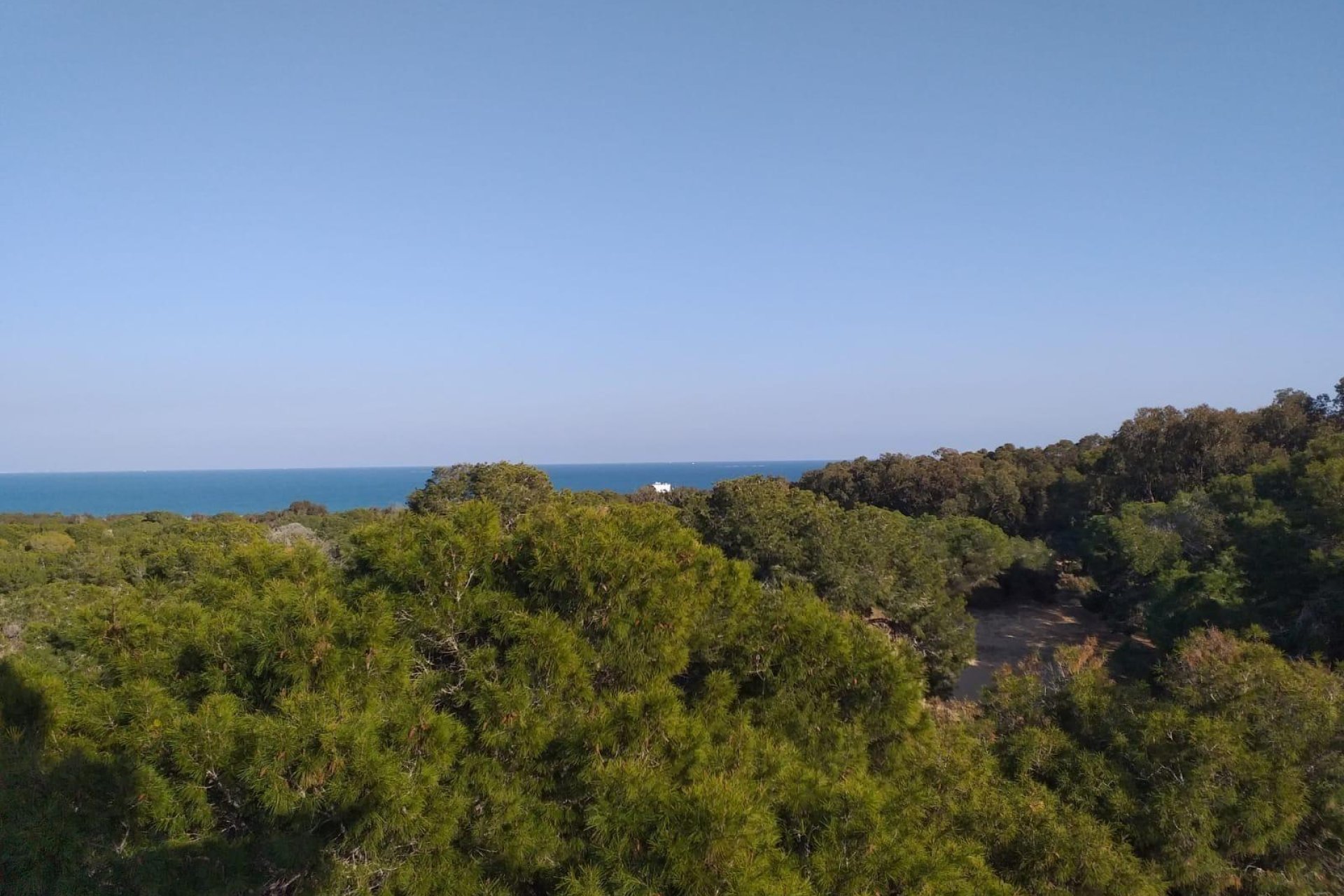 Nieuwbouw Woningen - Appartement  - Guardamar del Segura - Pueblo