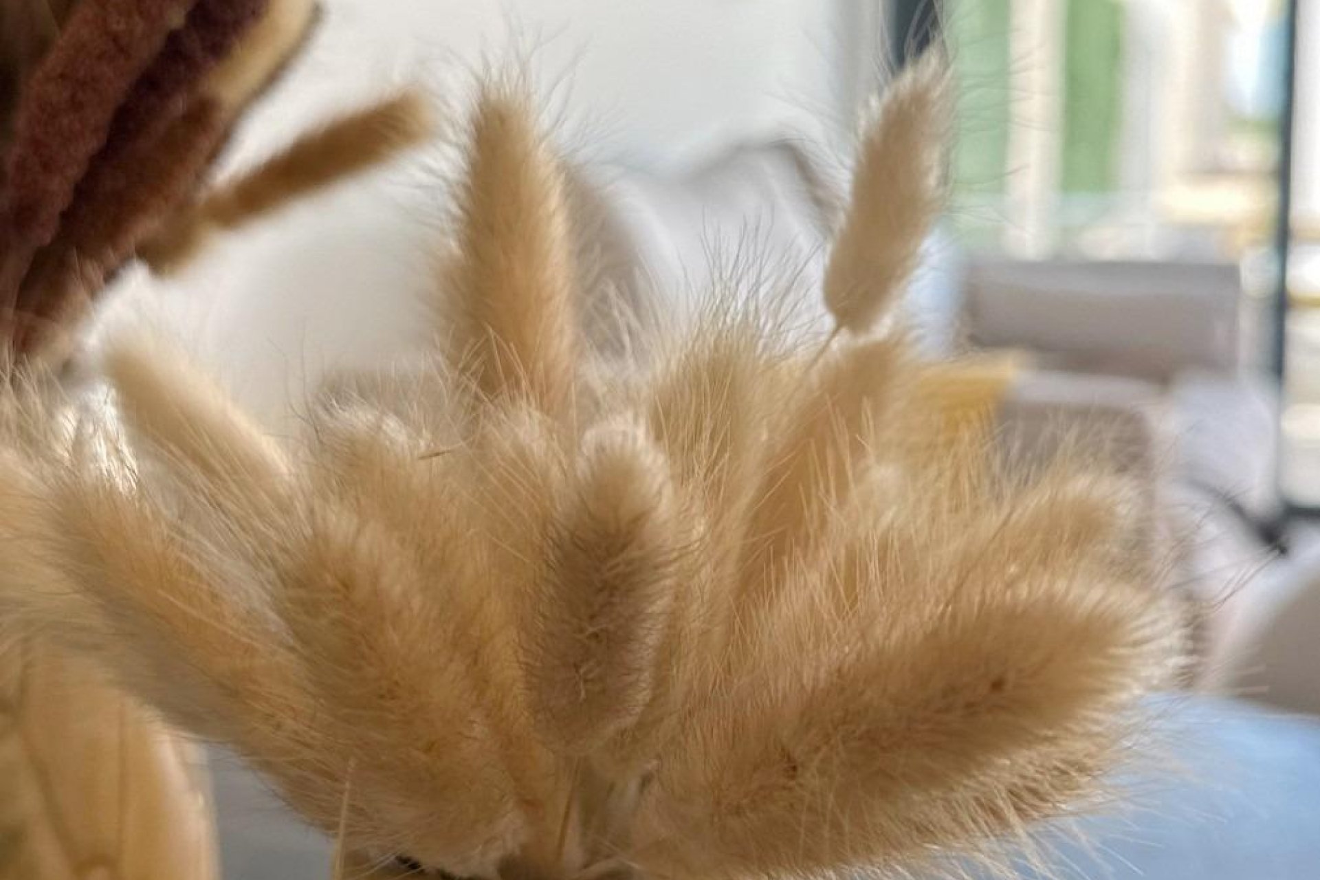 Nieuwbouw Woningen - Bungalow - San Fulgencio - Pueblo