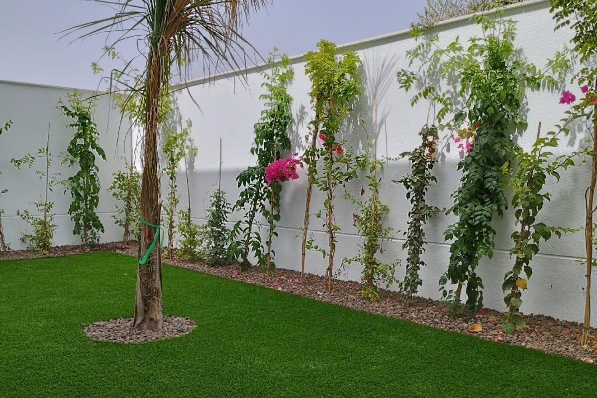 Nieuwbouw Woningen - Semidetached - San Javier - Parque del doce