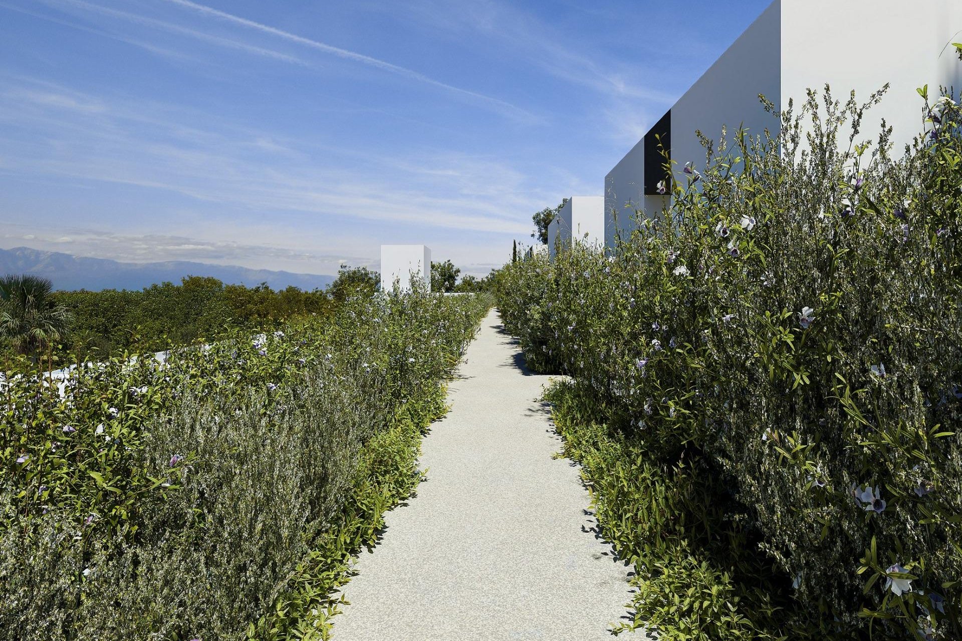 Nieuwbouw Woningen - Villa - Alfas del Pí - Barranc Fondo