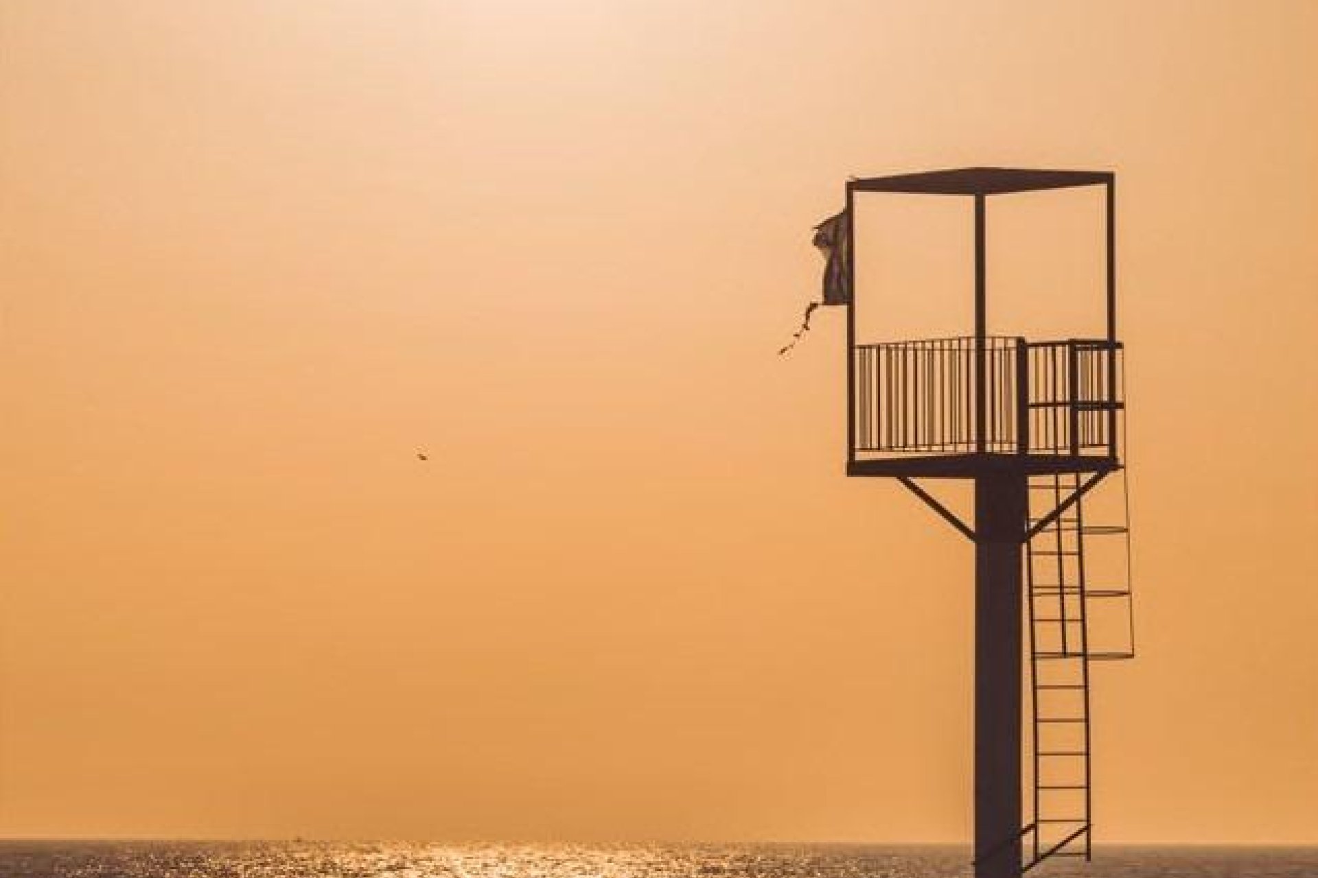 Nouvelle construction - Penthouse - Almerimar - 1ª Linea De Playa