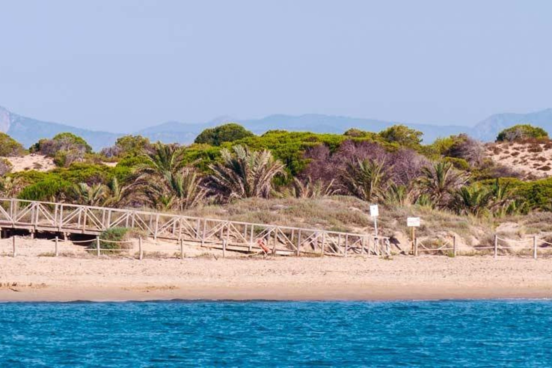 Nouvelle construction - rez-de-chaussée - Guardamar del Segura - Pueblo