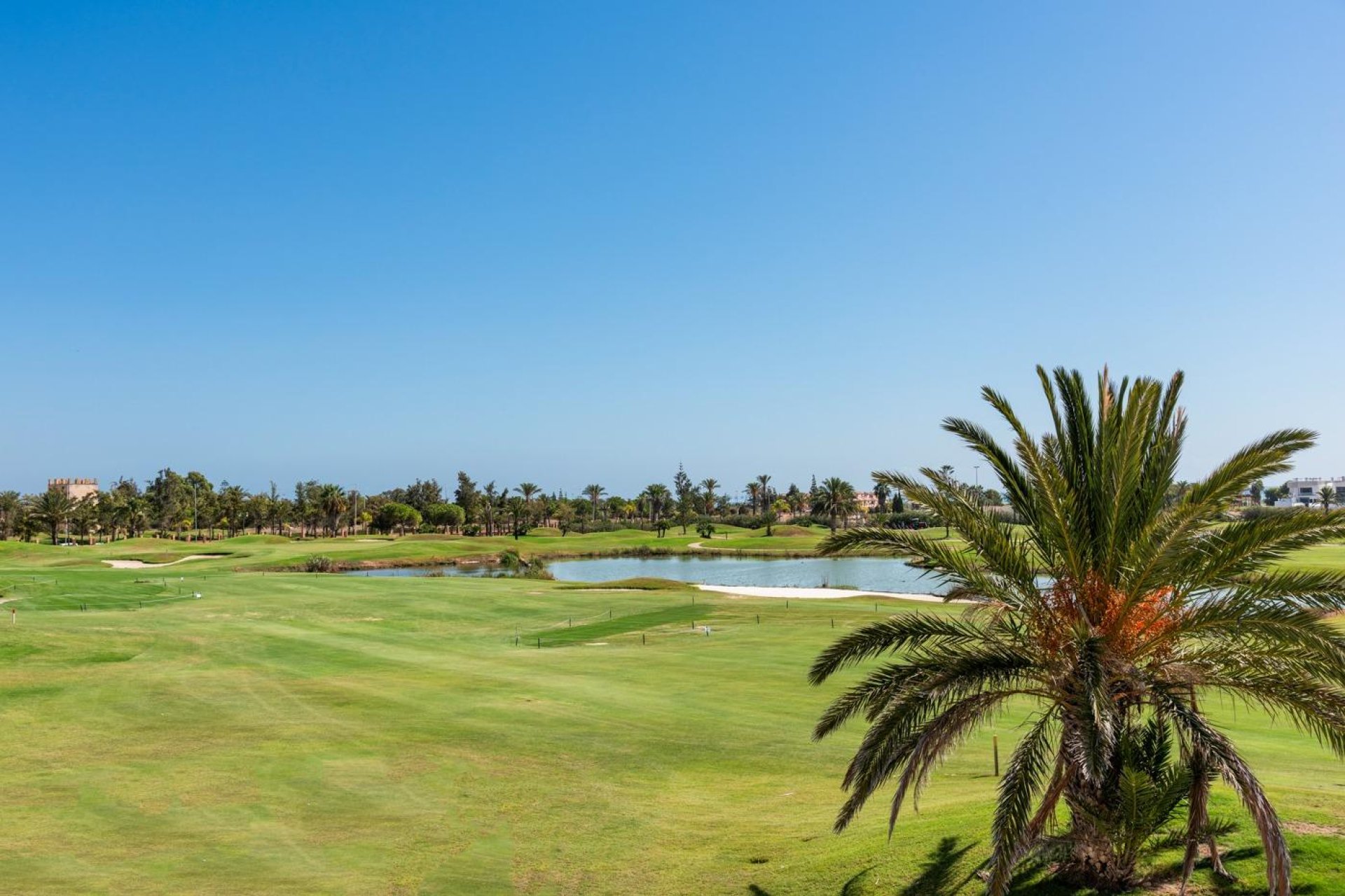 Nouvelle construction - Villa - Los Alcázares - Serena Golf