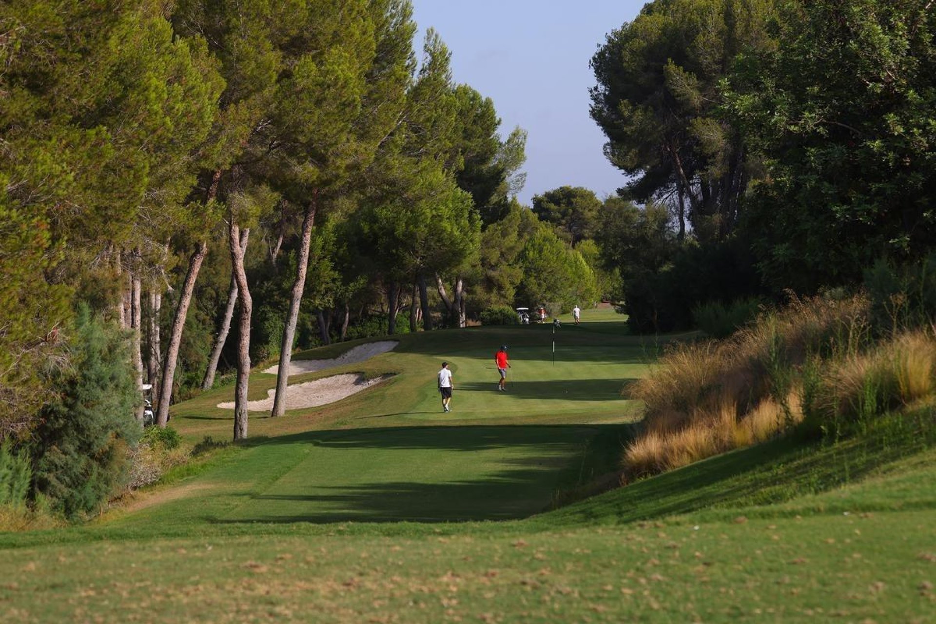 Nouvelle construction - Villa - Orihuela - Las Colinas Golf