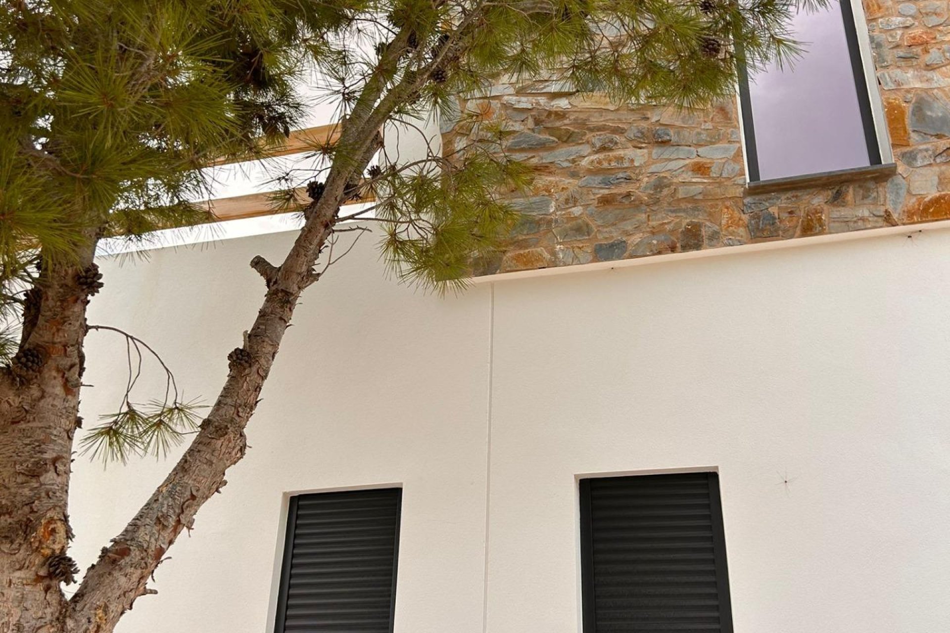 Nouvelle construction - Villa - Pinoso - Casas Pastor