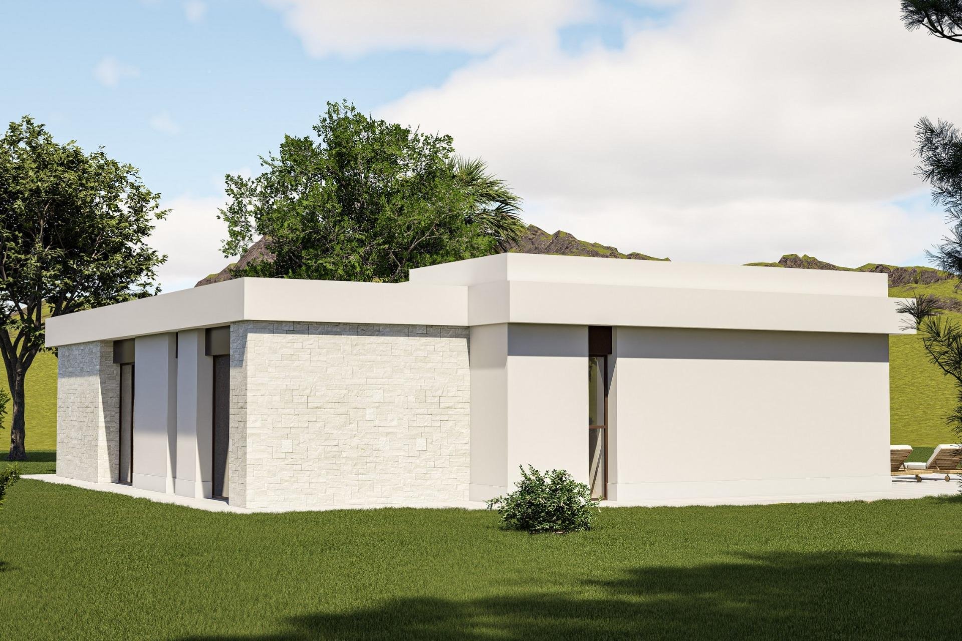 Nouvelle construction - Villa - Pinoso - Lel