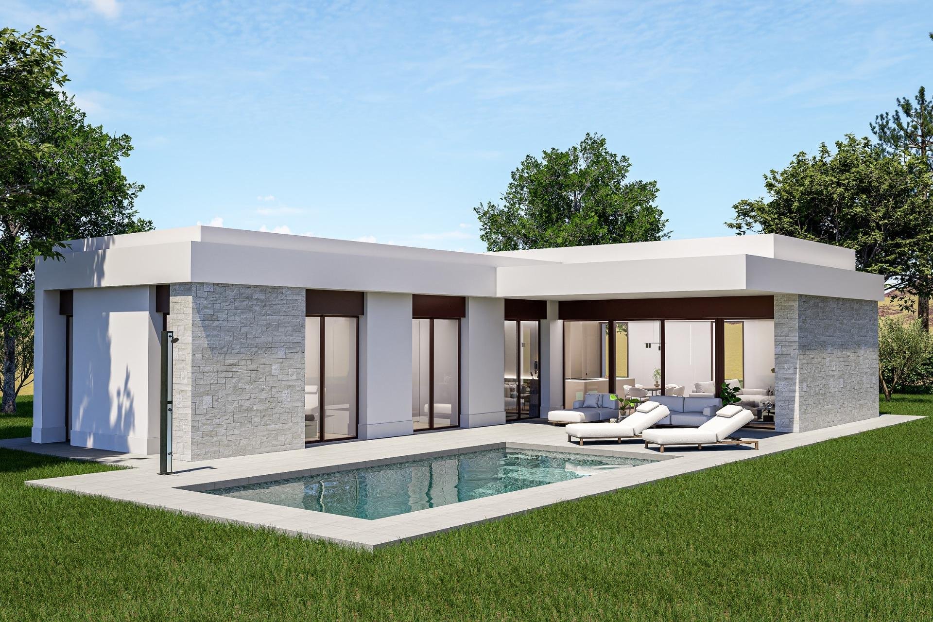 Nouvelle construction - Villa - Pinoso - Lel