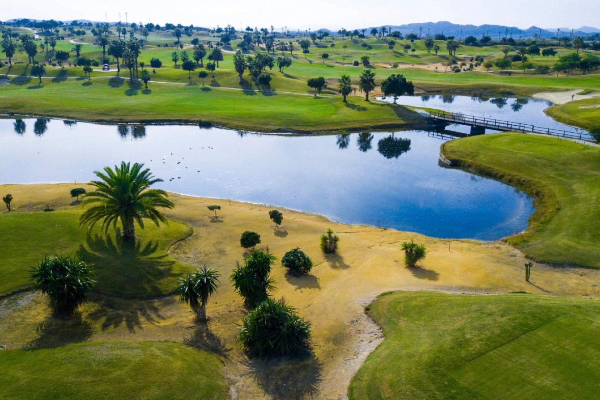 Nouvelle construction - Ville - Orihuela - Vistabella Golf