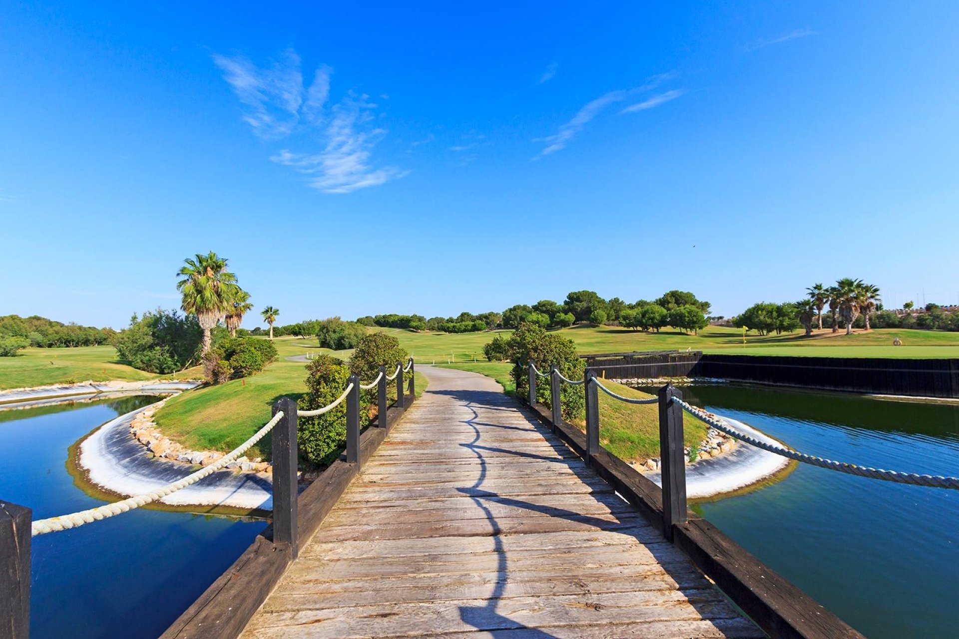 Nouvelle construction - Ville - Pilar de la Horadada - Lo Romero Golf