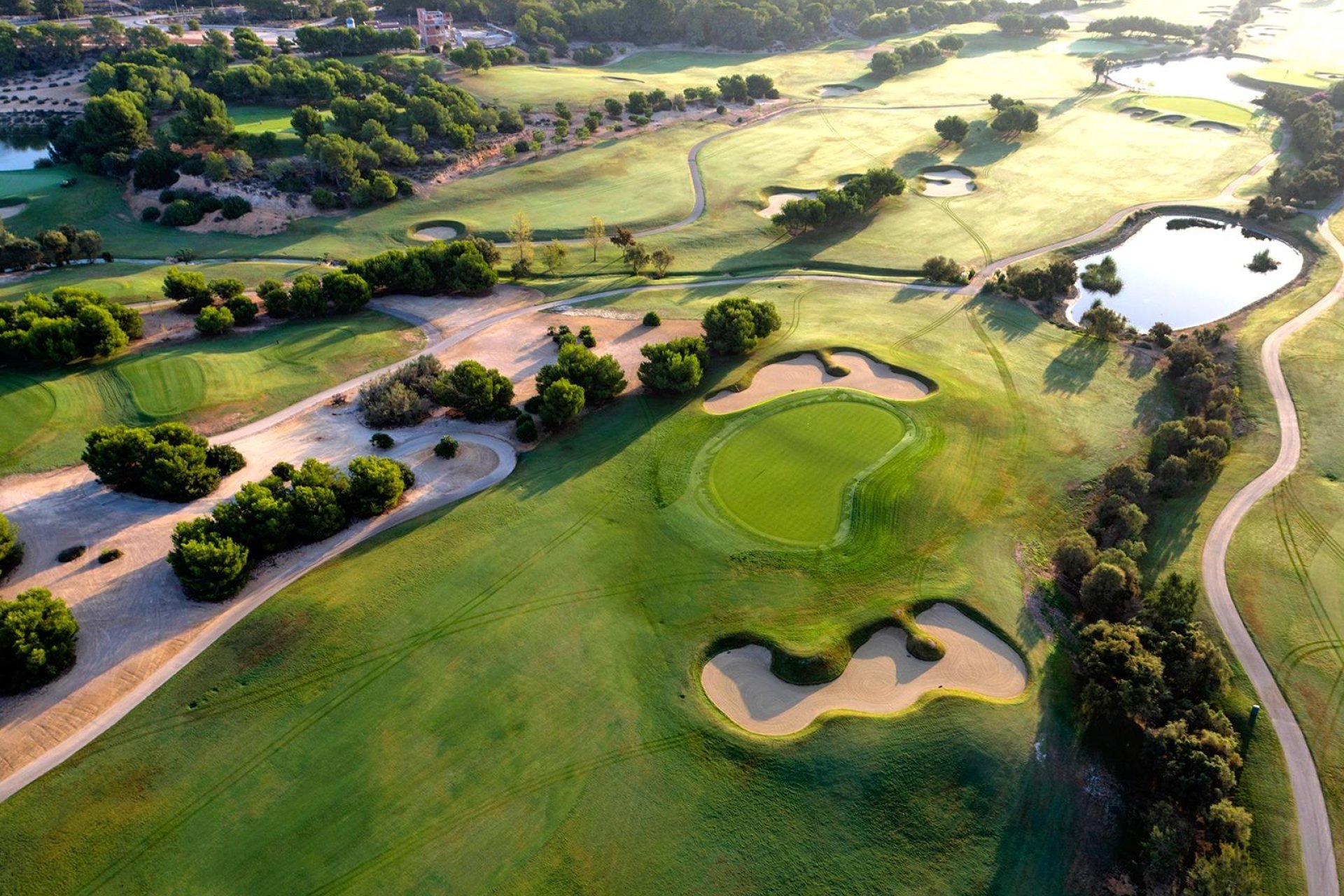 Nouvelle construction - Ville - Pilar de la Horadada - Lo Romero Golf