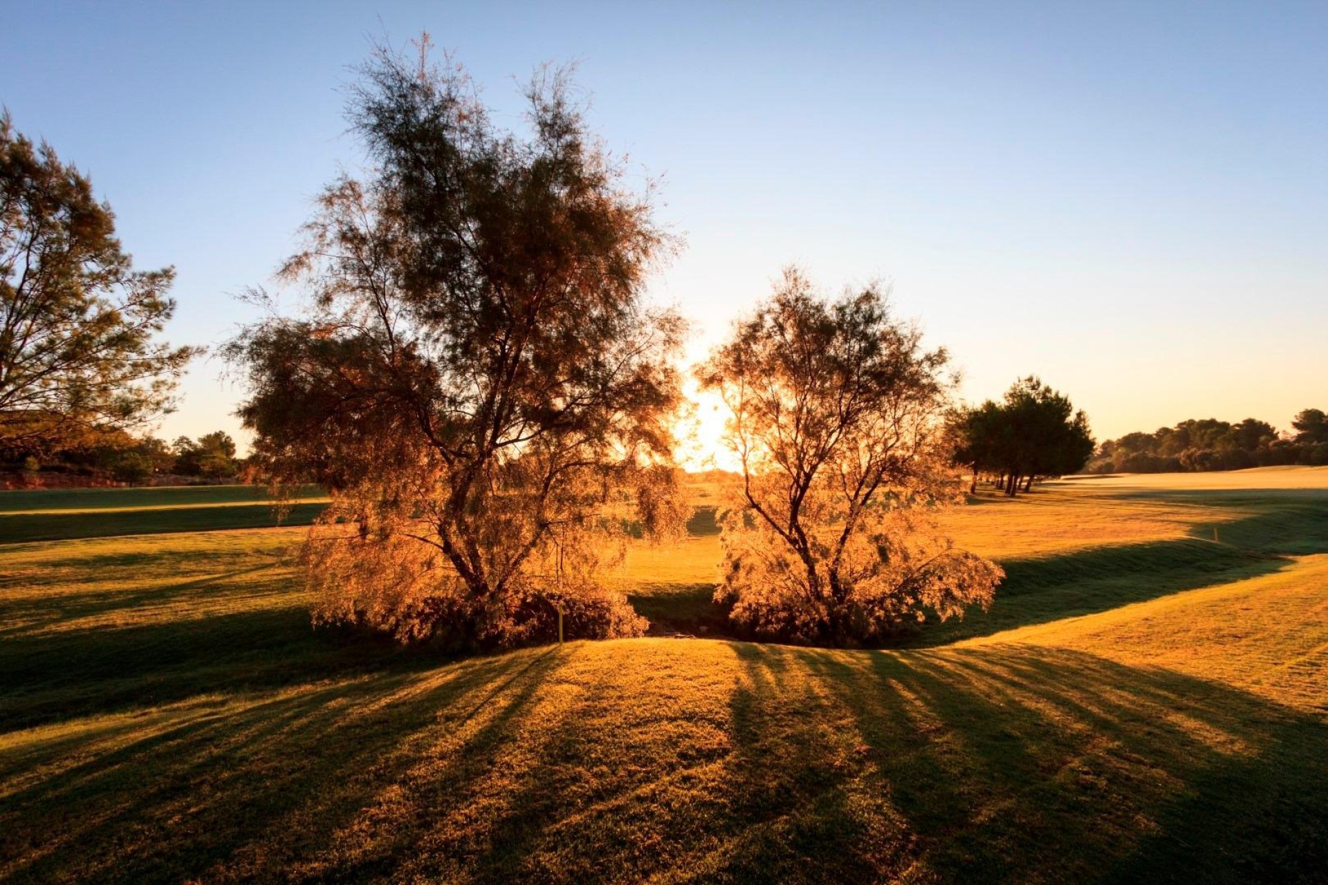 Nouvelle construction - Ville - Pilar de la Horadada - Lo Romero Golf