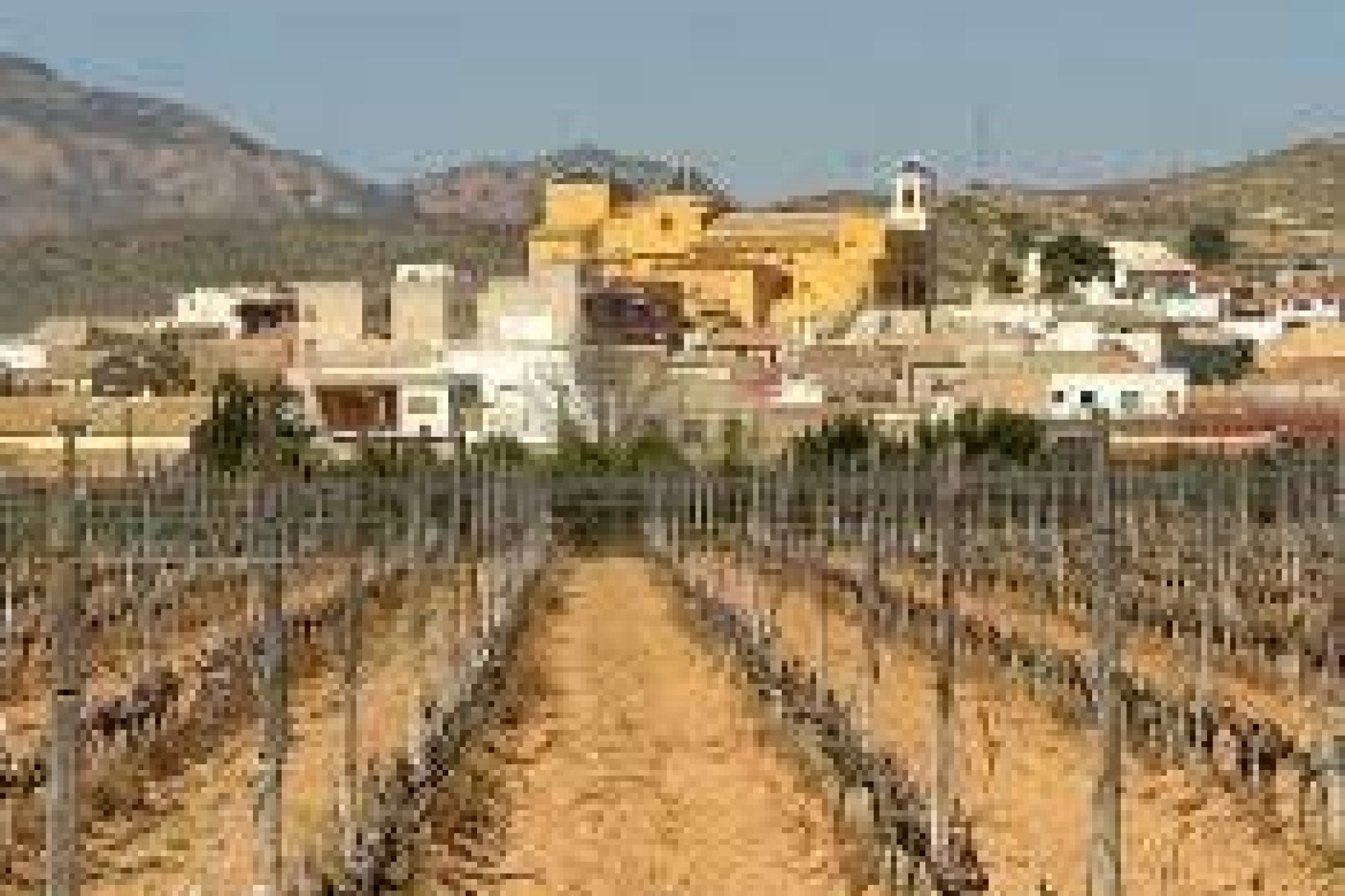 Nowy budynek - domek letniskowy - Hondón de las Nieves - El Salero