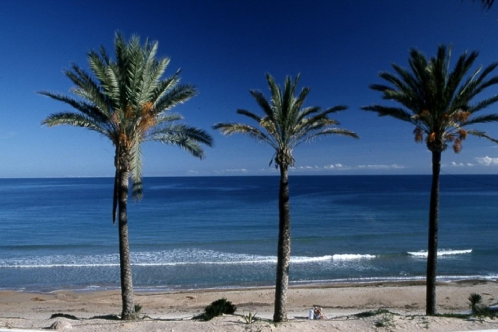 Nowy budynek - domek letniskowy - Pilar de la Horadada - Parque Ramon eugenio Escudero