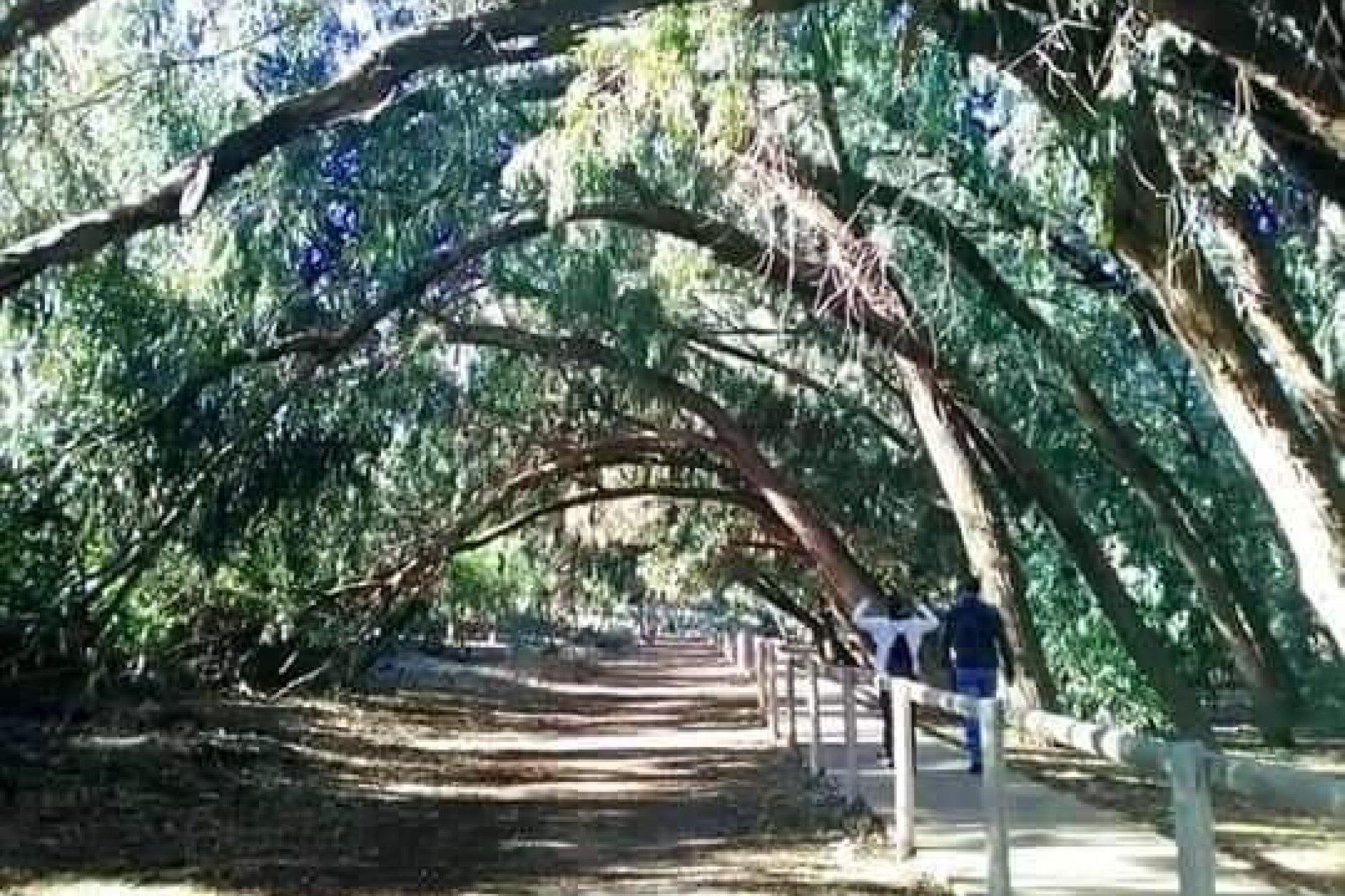 Nowy budynek - domek letniskowy - Torrevieja - Altos del Sol