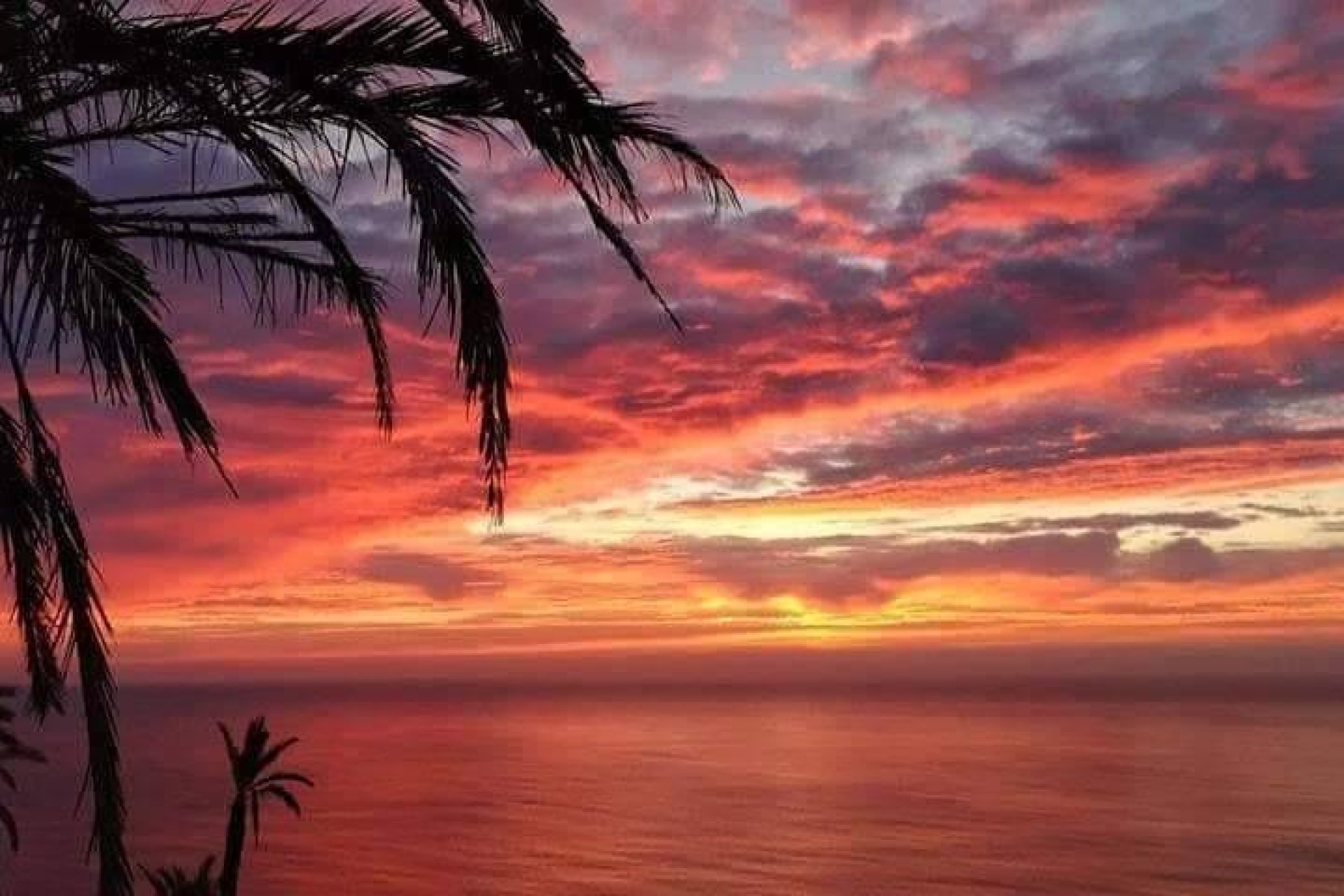 Nowy budynek - domek letniskowy - Torrevieja - Altos del Sol