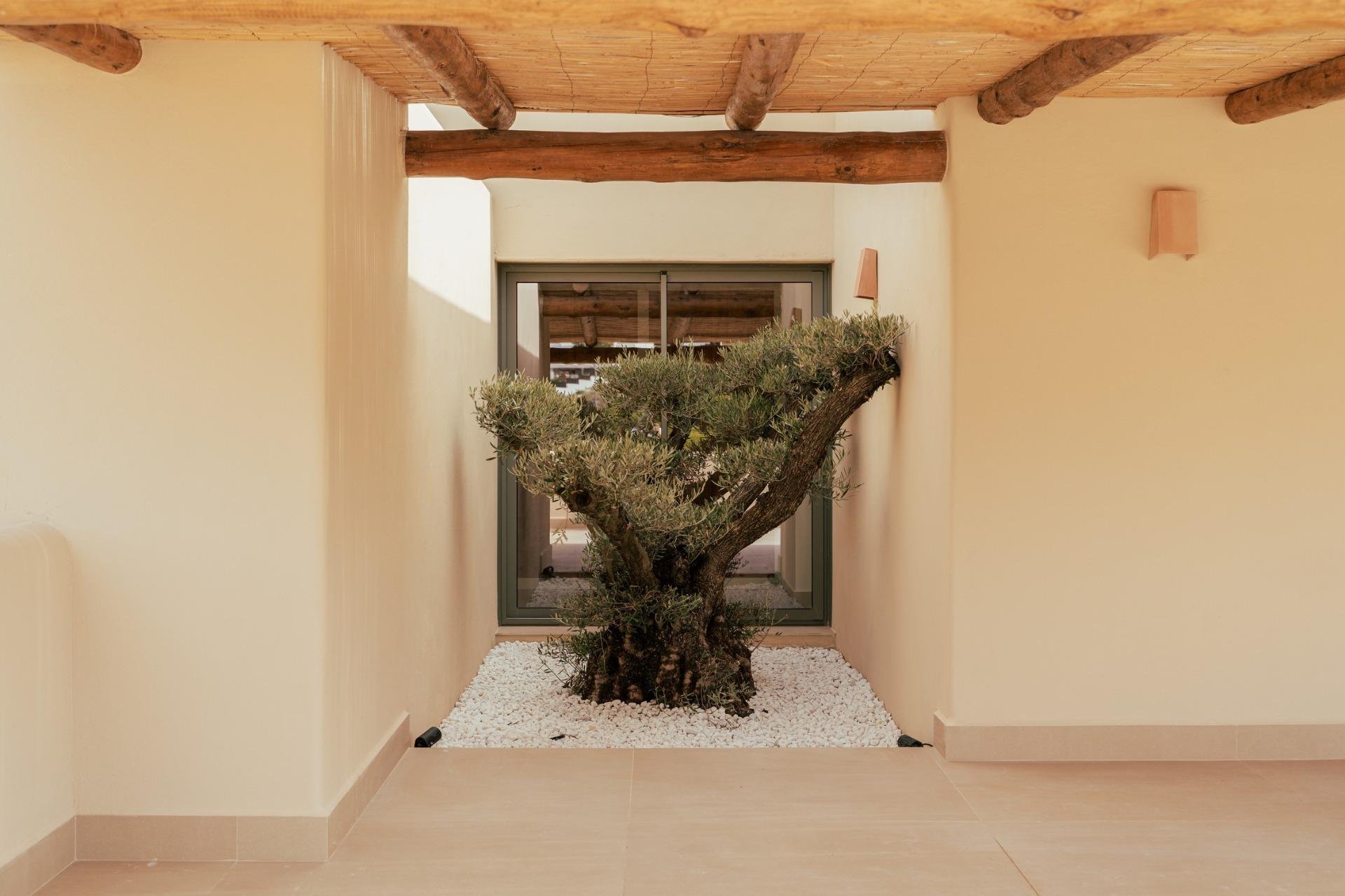 Nowy budynek - Villa - Jávea Xàbia - Valle Del Sol